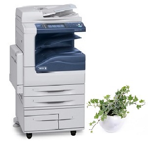cho thuê máy photocopy Xerox DC-IV 3065
