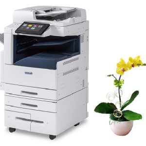 cho thuê máy photocopy Xerox AltaLink C8045
